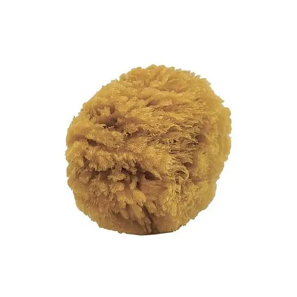 Губка натуральная морская Болдрини, 120х120 мм